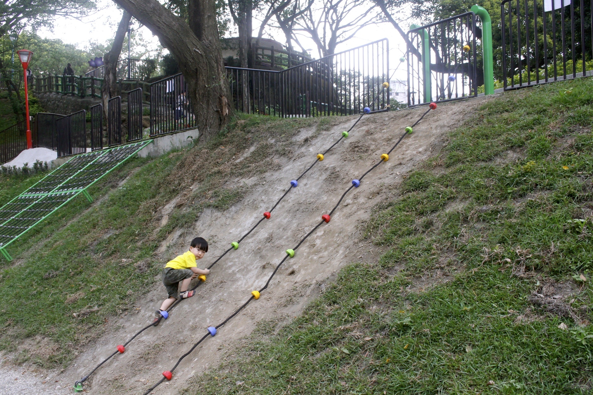 【新北 三峽中山公園】新景點30公尺「彩虹樹藤溜滑梯」。兒童版「跑酷棧道」需俱備小勇氣喔！