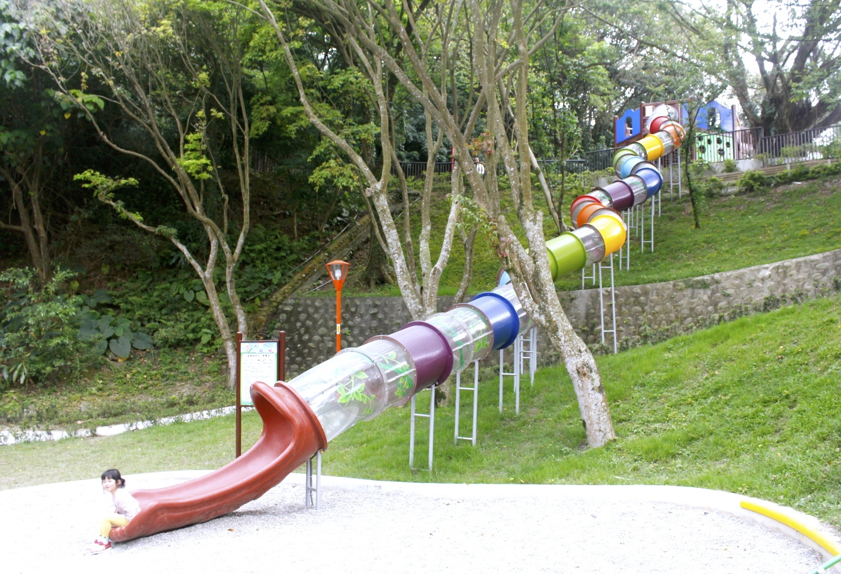 【新北 三峽中山公園】新景點30公尺「彩虹樹藤溜滑梯」。兒童版「跑酷棧道」需俱備小勇氣喔！