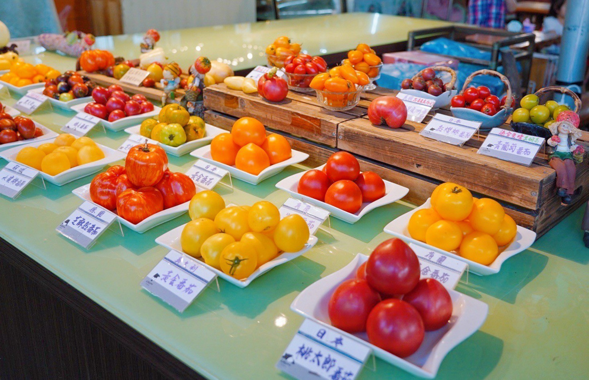 金勇番茄DIY,踩果,採番茄,番茄汁,水果拼盤,免費景點,關西景點,新竹好玩,親子景點,麻糬DIY