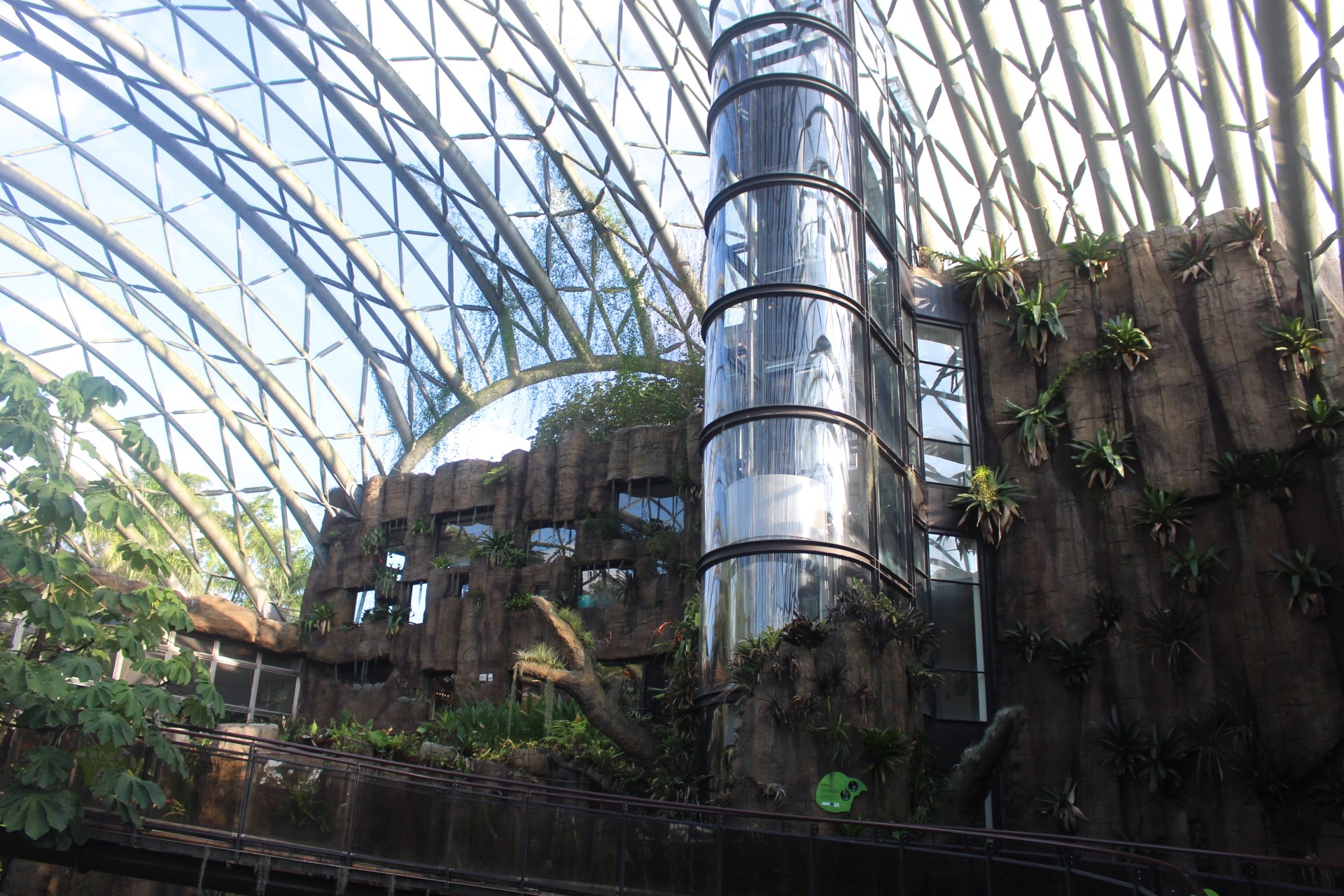 【台北 Taipei Zoo木柵動物園】暑期新館！經歷13年、斥資3.9億打造24公尺高「熱帶雨林」館，平日時間自由進出