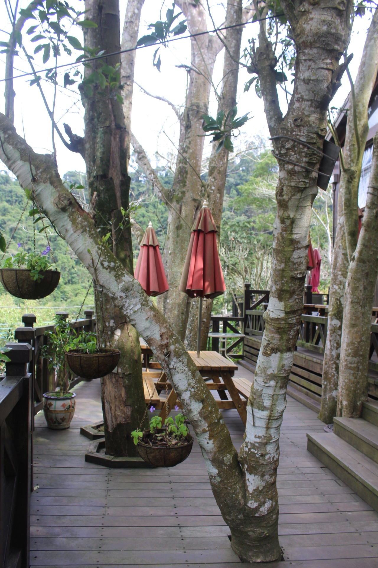 歇心茶樓，新竹景點，新竹和菜