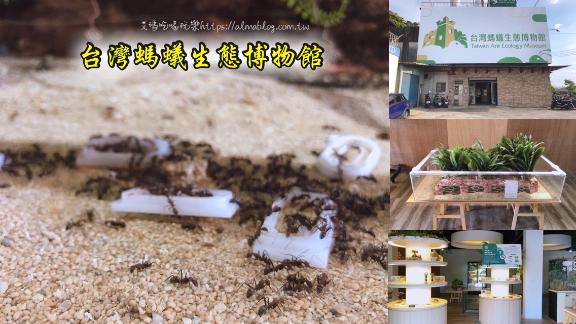 免費入館,台灣螞蟻生態博物館,桃園景點,螞蟻帝國,龜山博物館 @艾瑪  吃喝玩樂札記