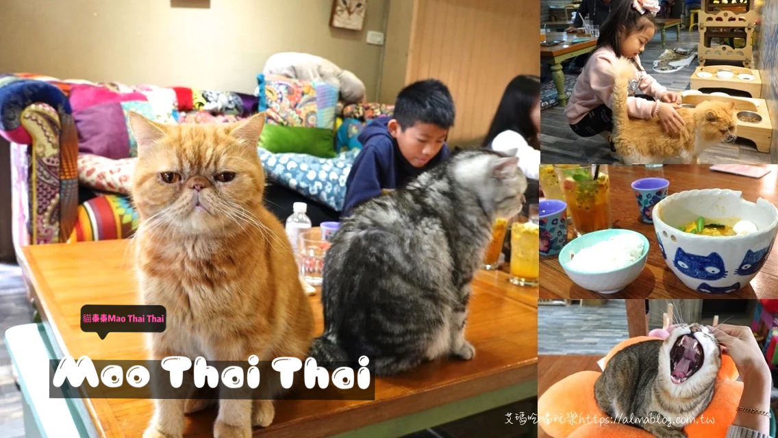 〖貓泰泰 Mao Thai Thai〗開業六年貓咪餐廳！體驗當一個專業貓奴．來者是客貓是主子．泰式料理อาหารไทย