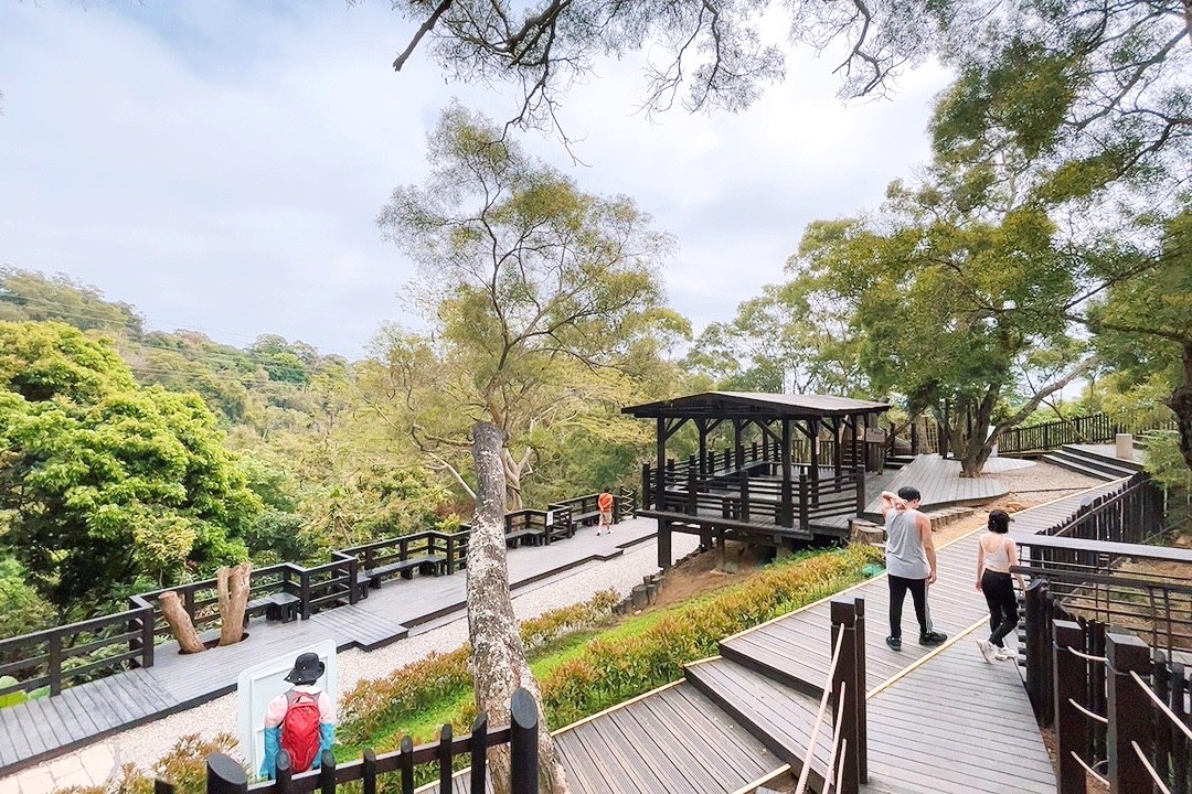 台中公園,風動石公園,風動石森林體驗空間