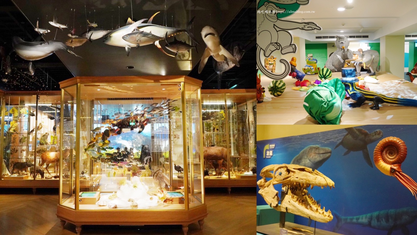 台北好玩,台北景點,台灣博物館,恐龍展,水怪,百年對話,親子景點 @艾瑪  吃喝玩樂札記