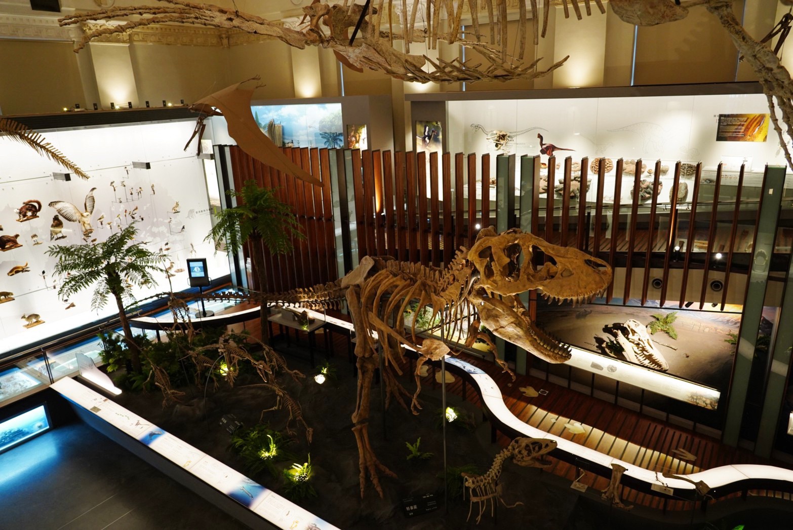 台北景點,親子景點,恐龍博物館, 土銀博物館,台灣博物館,恐龍,恐龍餐廳,228公園