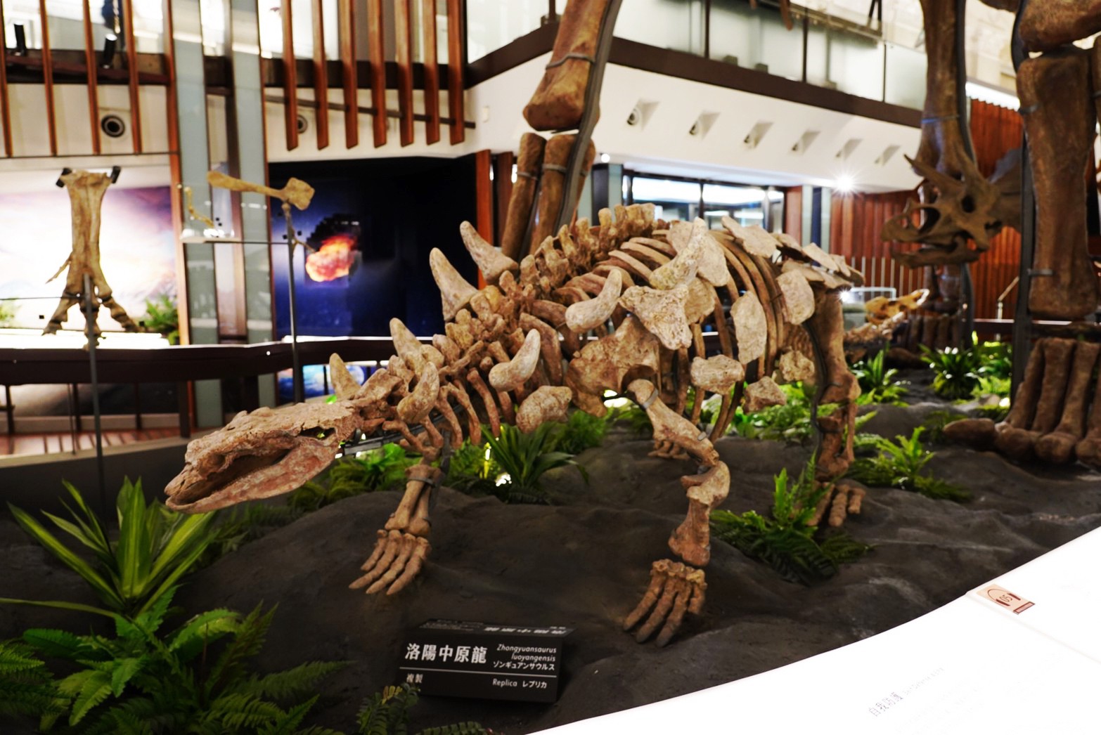 台北景點,親子景點,恐龍博物館, 土銀博物館,台灣博物館,恐龍,恐龍餐廳,228公園