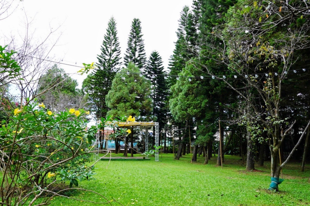 湧進音樂餐廳