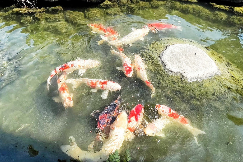 新港香藝文化園區