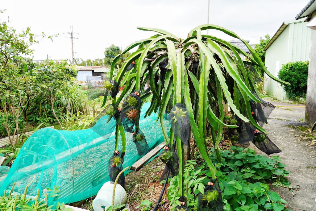 番社古早雞家常菜 