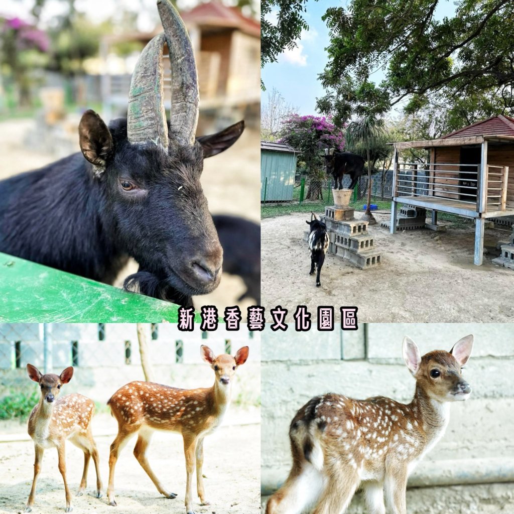 新港香藝文化園區,嘉義景點,免費文化館,免費親子景點,免費動物園,免門票,新興製香廠,波波草,嘉義新港好玩,嘉義新港景點